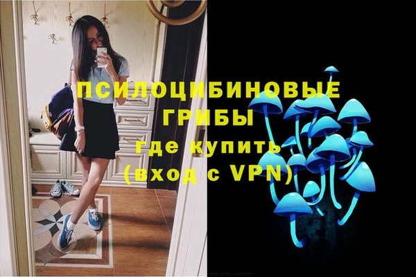 ГАЛЛЮЦИНОГЕННЫЕ ГРИБЫ Горнозаводск