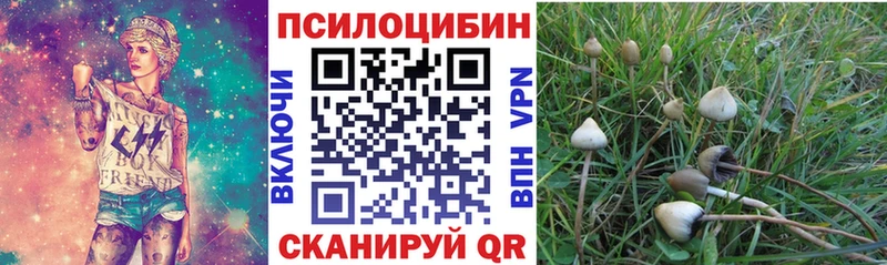 Галлюциногенные грибы мицелий  Купить закладки  Прохладный 