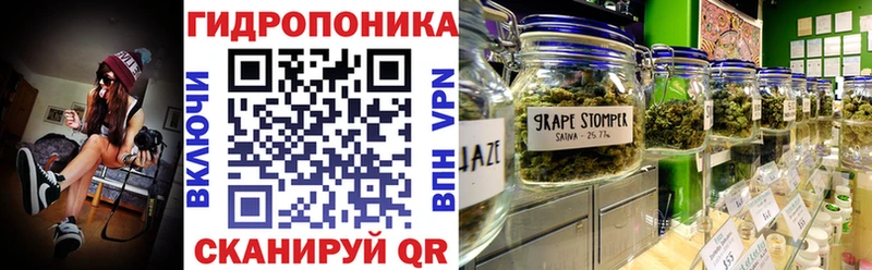 Купить  Прохладный  МАРИХУАНА планчик 